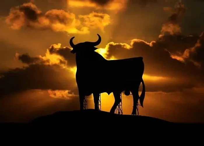 La Carihuela 3* 토레몰리노스