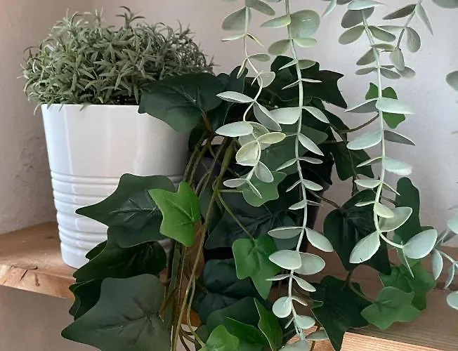 Aparthotel La Carihuela Torremolinos